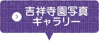 吉祥寺園写真ギャラリー